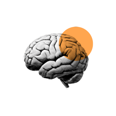 mozg - Fractal Academy